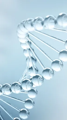 Pourquoi avons-nous de moins en moins de poils au fil de l'évolution?, Veauche, Kyroma Institut